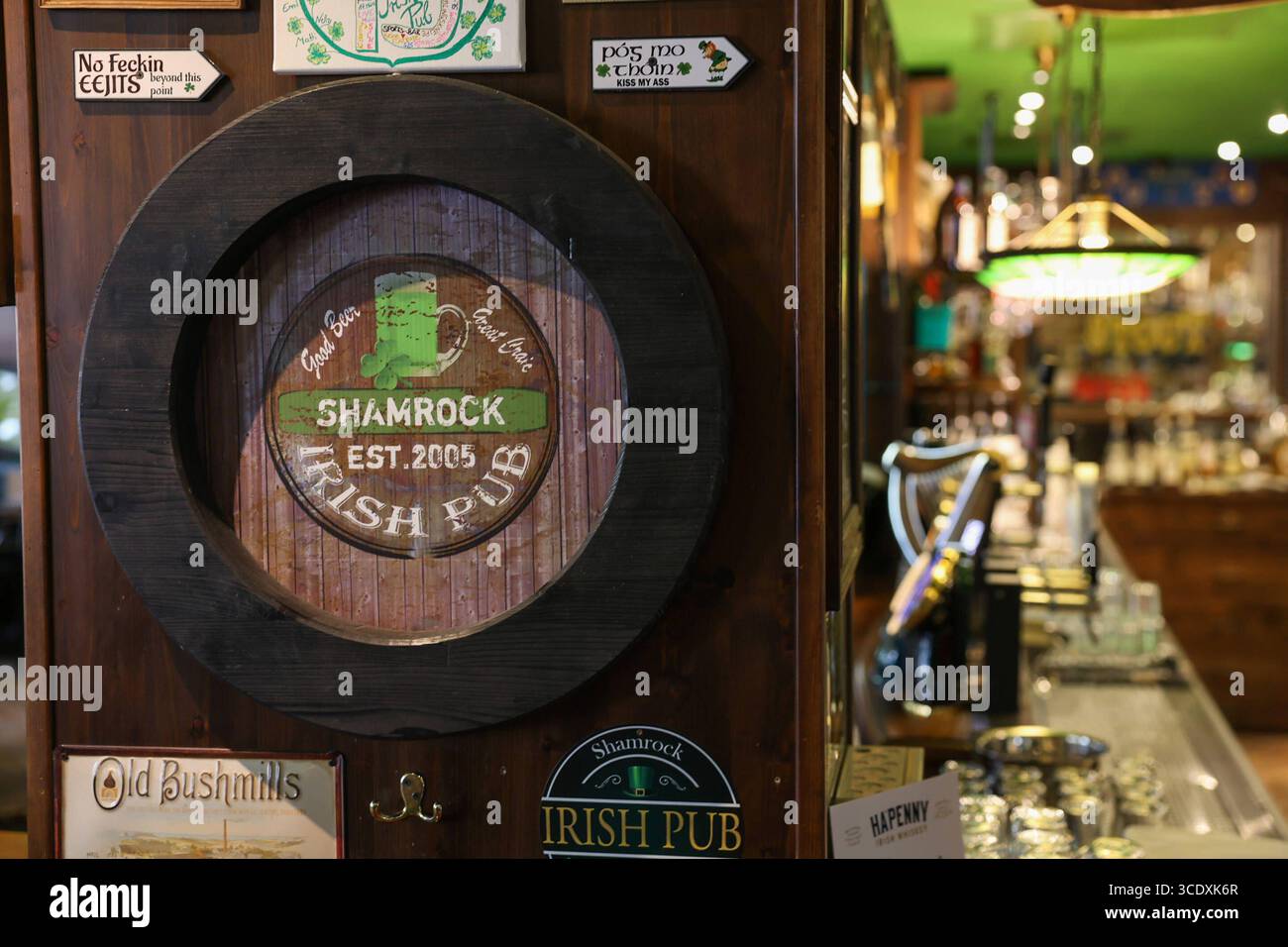 Shamrock Dresden, Wilsdruffer Straße. , Honorarfrei für Produkte von Sächsische.de und Sächsische Zeitung *** Shamrock Dresden, Wilsdruffer Straße , kostenlos für Produkte von Sächsische de und Sächsische Zeitung Stockfoto