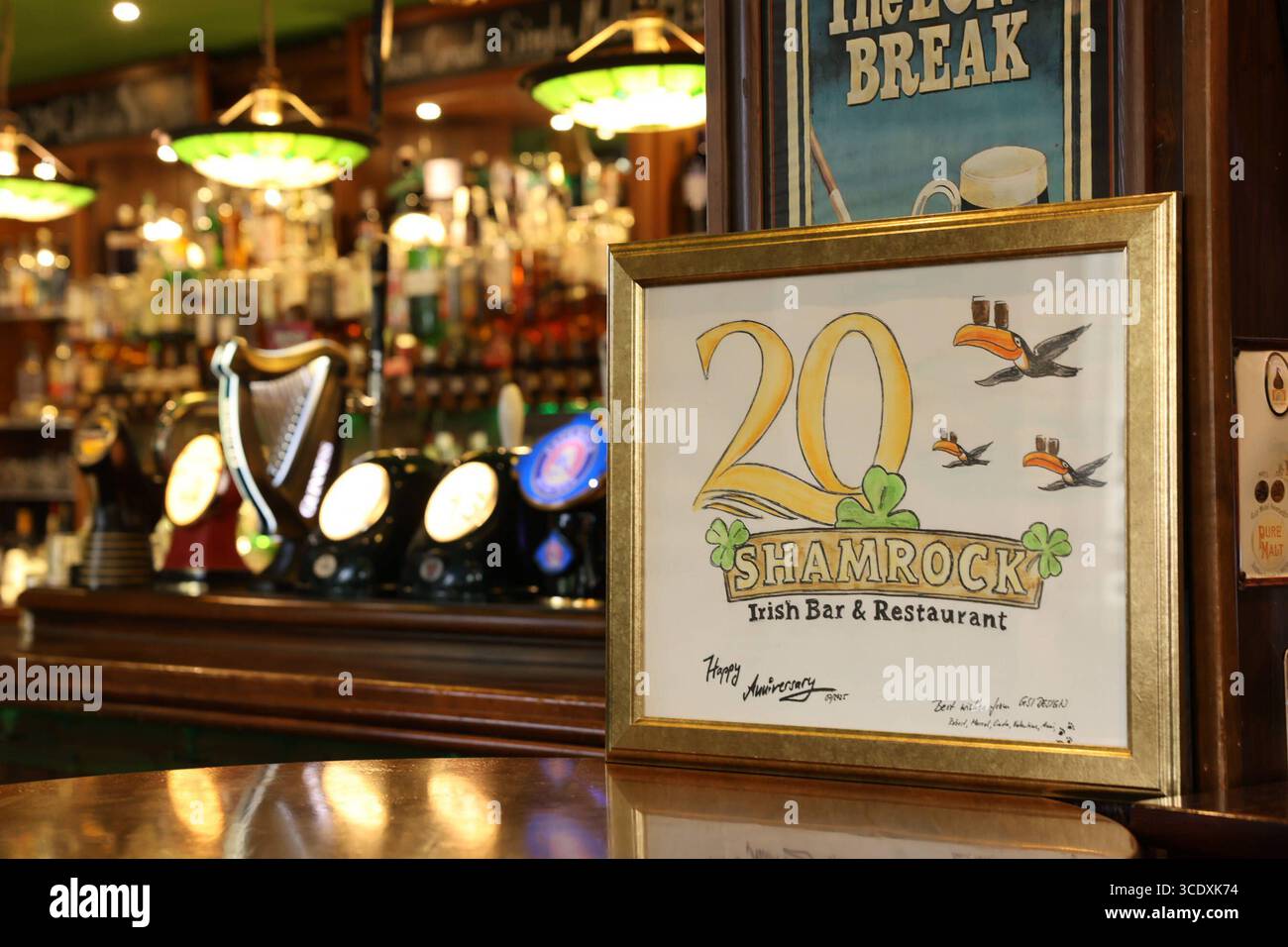 Shamrock Dresden, Wilsdruffer Straße. , Honorarfrei für Produkte von Sächsische.de und Sächsische Zeitung *** Shamrock Dresden, Wilsdruffer Straße , kostenlos für Produkte von Sächsische de und Sächsische Zeitung Stockfoto