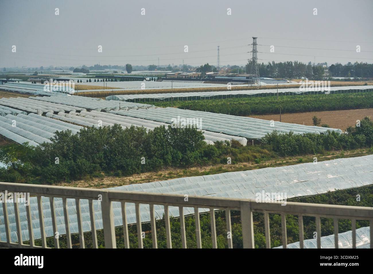 Landwirtschaftliche Gewächshäuser in der Nähe von Pingyao, Shanxi, China, vom Hochgeschwindigkeitszug aus gesehen Stockfoto