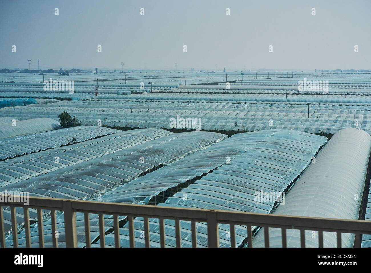 Landwirtschaftliche Gewächshäuser in der Nähe von Pingyao, Shanxi, China, vom Hochgeschwindigkeitszug aus gesehen Stockfoto