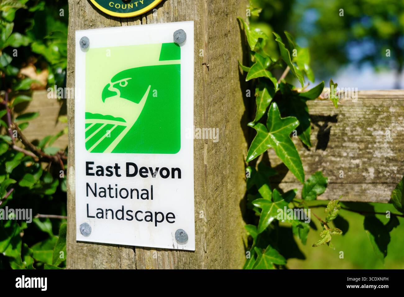 East Devon National Landscape Sign and Emblem on A Way Marking Post, Sid Valley, Devon, England, Großbritannien im Mai Stockfoto East Devon National Landscape Sign and Emblem on A Way Marking Post, Sid Valley, Devon, England, Großbritannien im Mai Stockfoto