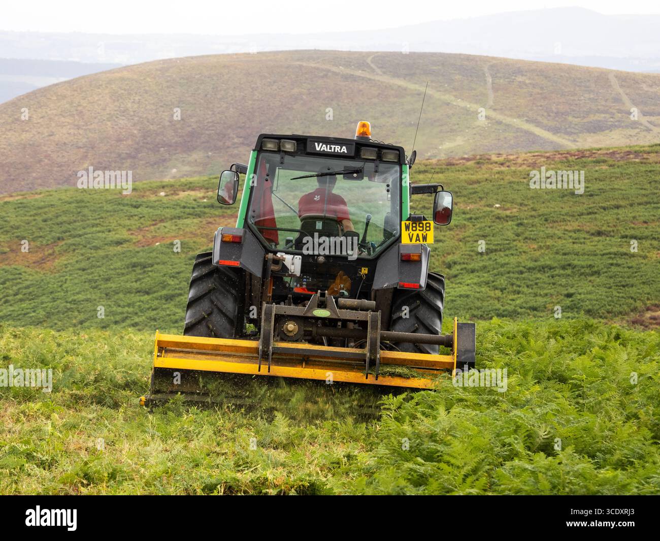 Ein Traktor Bracken, der auf dem Long Mynd, Shropshire, Großbritannien, fährt. Stockfoto