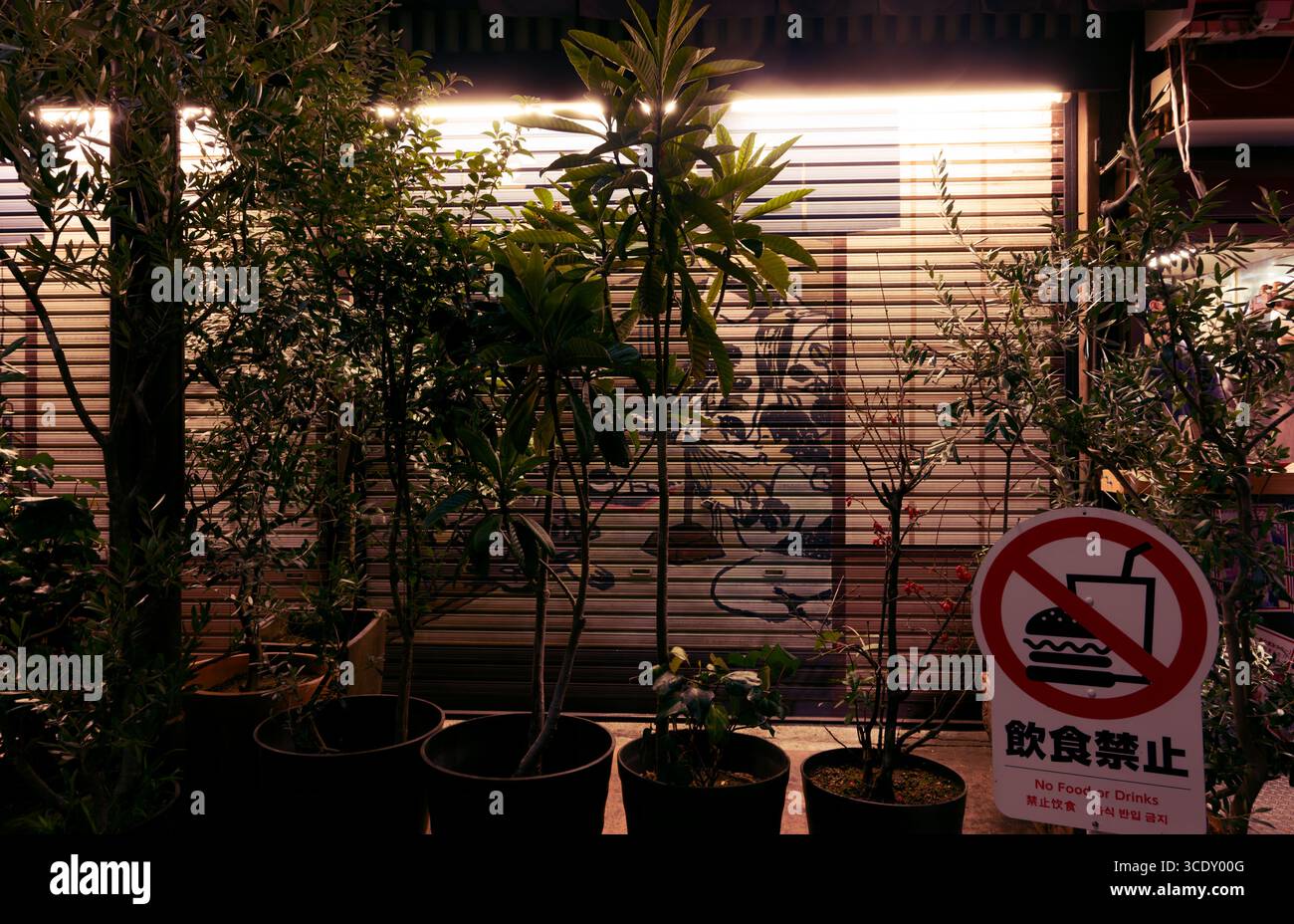 Hinter Topfpflanzen versteckte Shutter Art und ein Schild mit dem Hinweis „No Food or Drinks“ in Asakusa bei Nacht Stockfoto