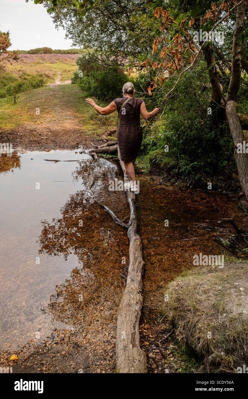 Eine aktive Frau in ihren 60ern, die einen Fluss überquert und auf einer Holzbrücke im New Forest Hampshire UK balanciert. Stockfoto