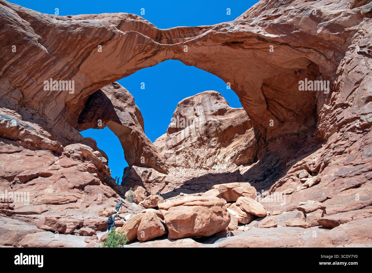 Double Arch im Arches National Park, Utah, USA Stockfoto