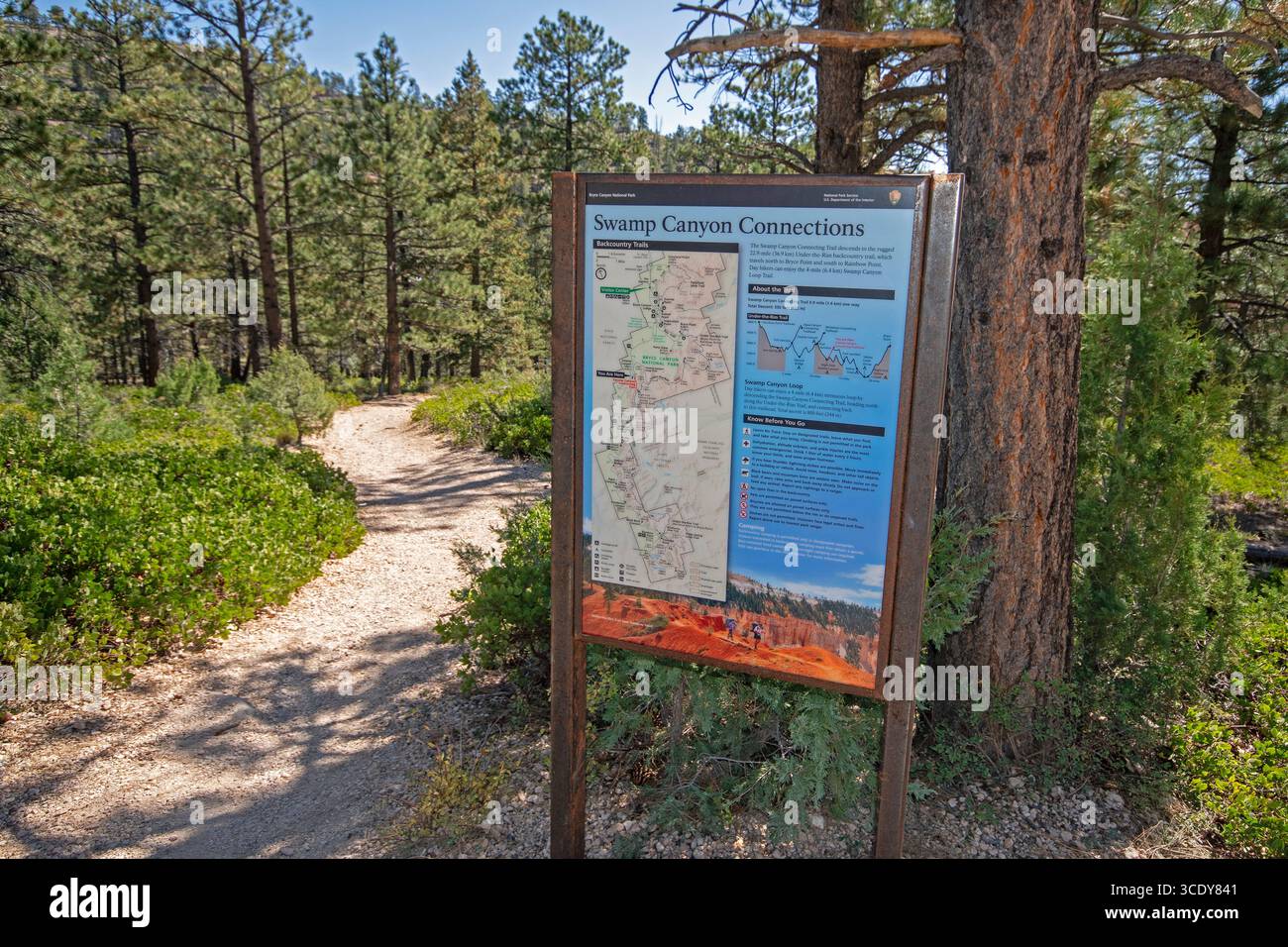 Swamp Canyon Connecting Trail im Bryce Canyon National Park, Utah, USA Stockfoto