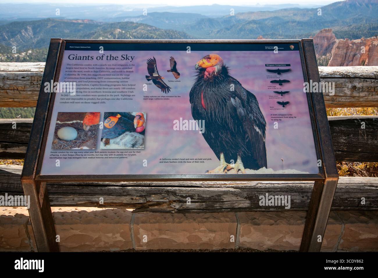 Informationsschild über den kalifornischen Kondor (Gymnogyps californianus), Bryce Canyon National Park, Utah, USA Stockfoto