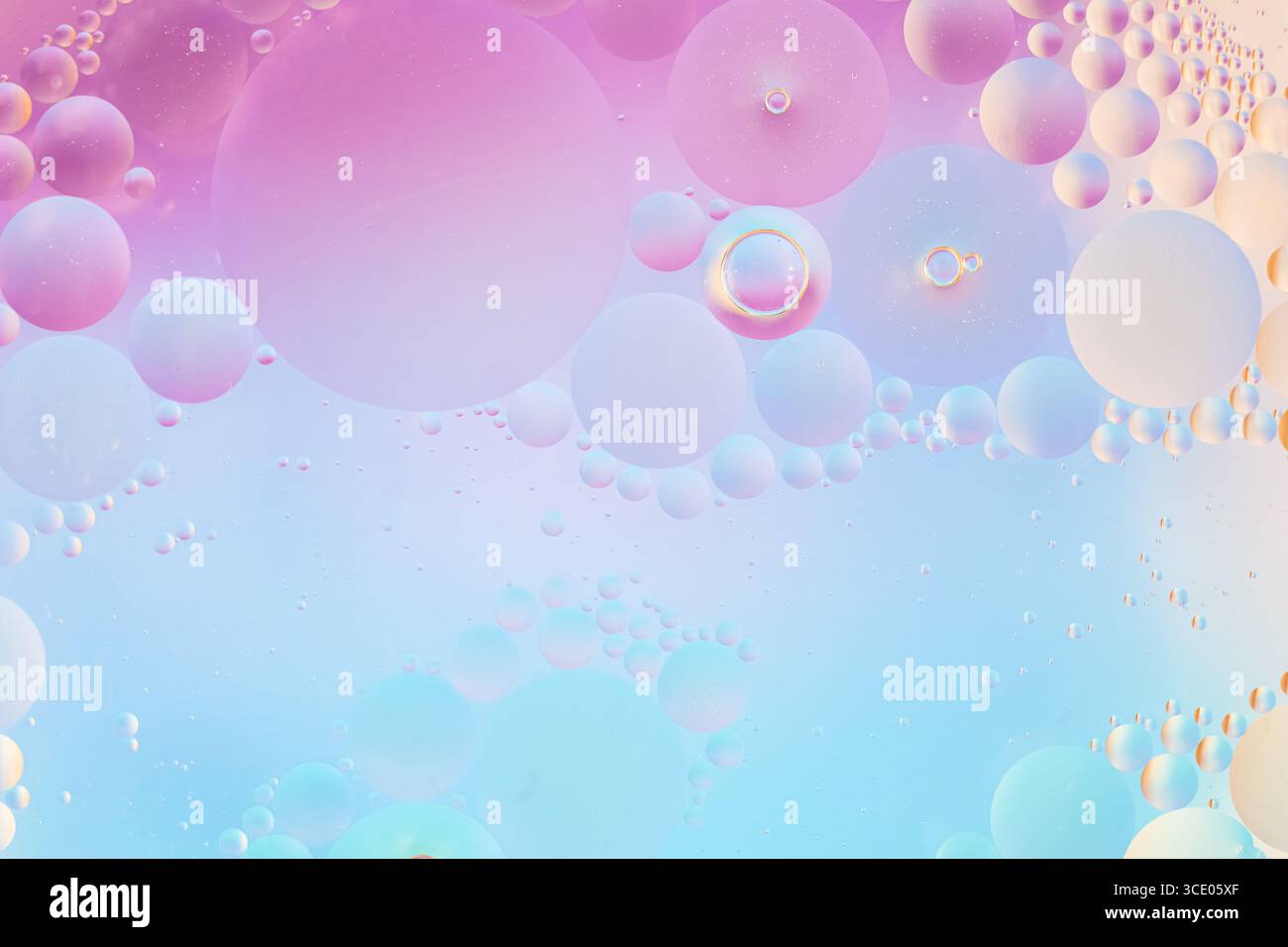 Weiche rosa, blaue und lilafarbene Öltropfen in Wasser-Makrotextur. Sanfter Pastellverlauf mit runden Formen für kreative Hintergründe und elegante Designs Stockfoto