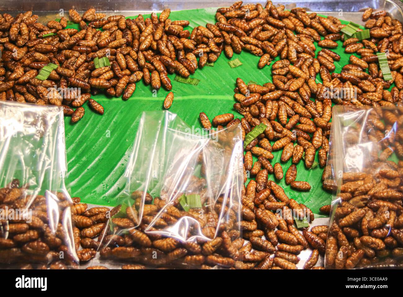 Gebratener bambus -Fotos und -Bildmaterial in hoher Auflsung  Alamy
