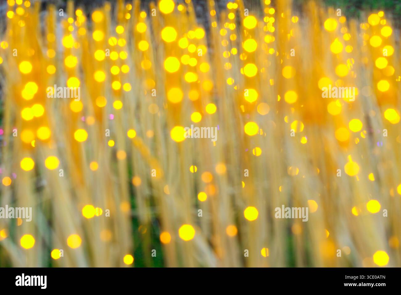 Warmes goldenes festliches Bokeh mit verschwommenem Gras im Vordergrund, abstrakter traumhafter Hintergrund für Weihnachten, Neujahr oder dekorative kreative Projekte. Stockfoto