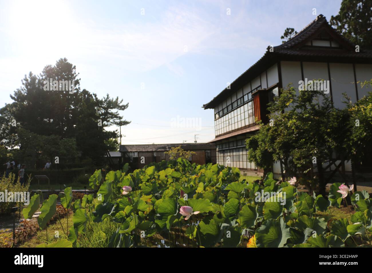 Wunderschöne Landschaft aus dem Garten einer historischen Samurai-Residenz in Aizu-Wakamatsu. Stockfoto