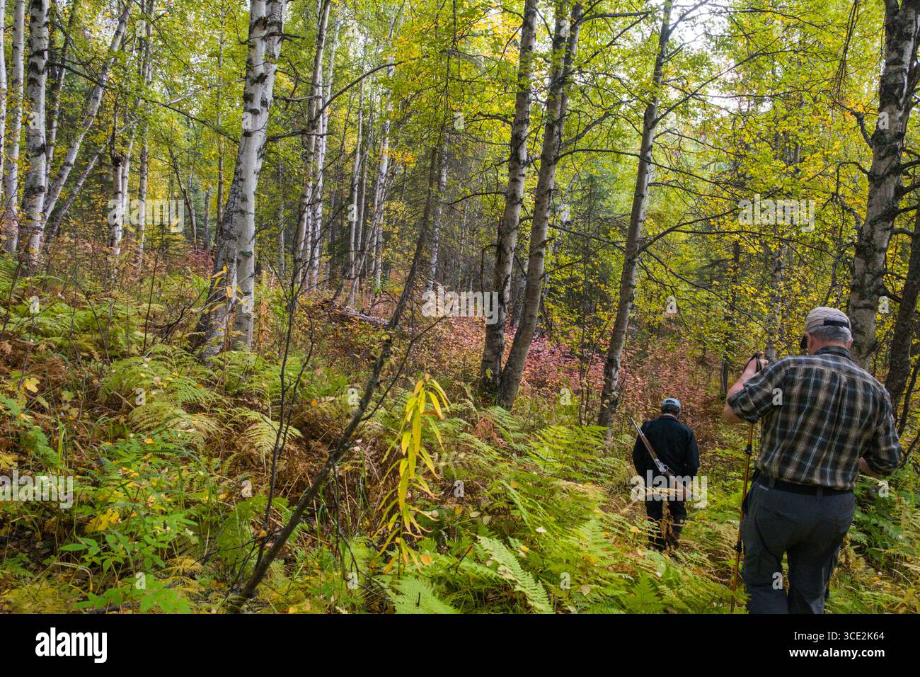 Mann mit Gewehr den Weg durch Alaska Borealer Wald, Matanuska-Susitna, Alaska, USA Stockfoto