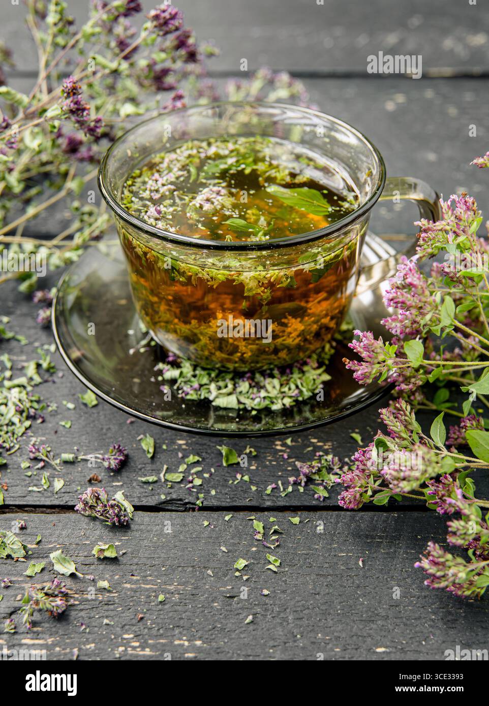 Hausgemachter Oregano, Origanum vulgare Kräutertee in einer Teetasse. Dampfendes Heißgetränk mit trockenen und frischen Oregano-Blüten rund um die Uhr, schwarzes Holz. Stockfoto