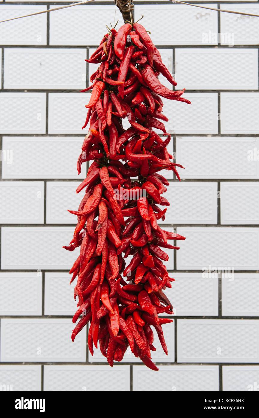 Traditionelle rote chinesische rote Chilischoten Stockfoto