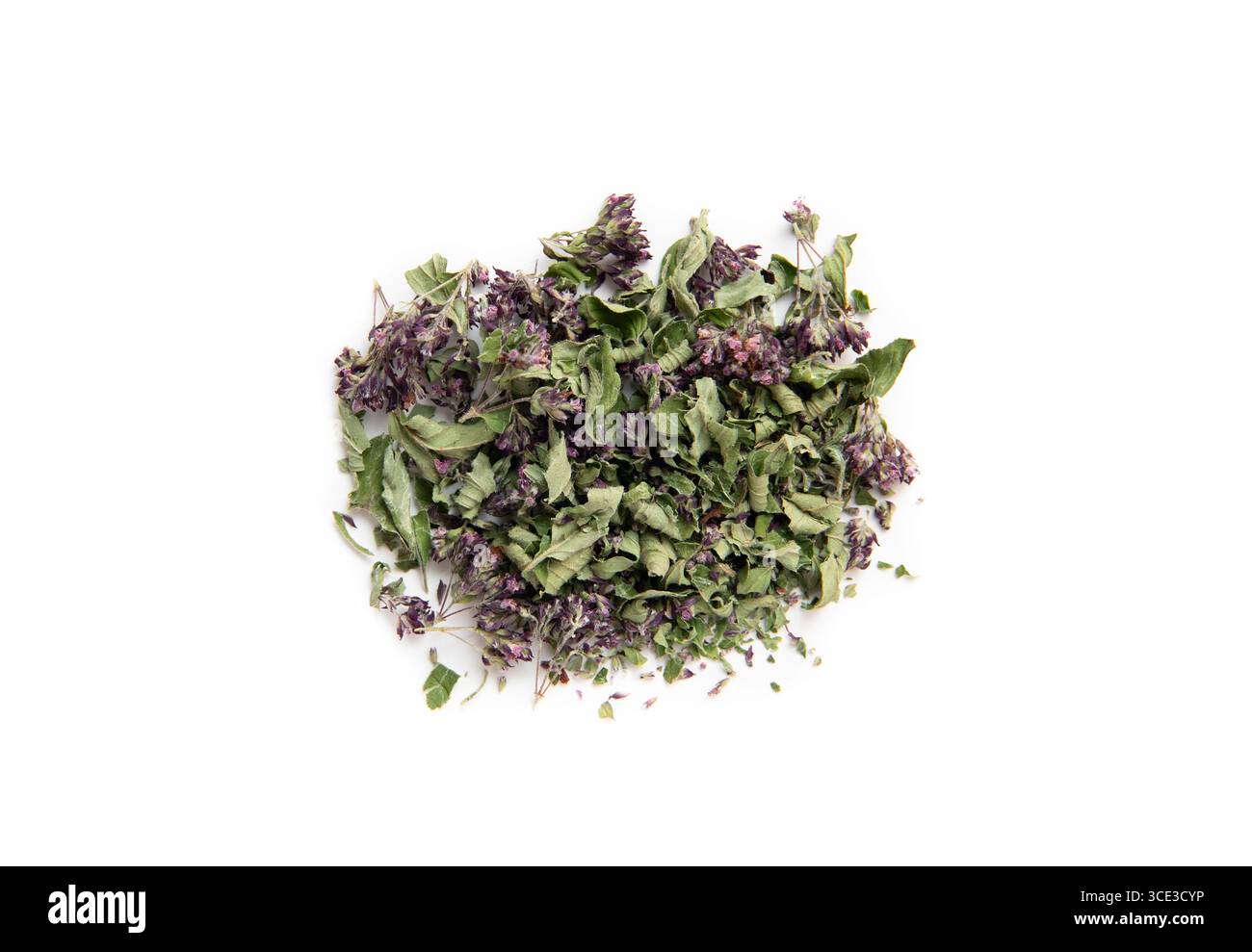 Flache Ansicht von trockenem Oregano, Origanum vulgare für die Herstellung von medizinischem Kräutertee. Hausgemachte getrocknete Blätter und Blüten in einem Stapel isoliert auf einem Weißen. Stockfoto