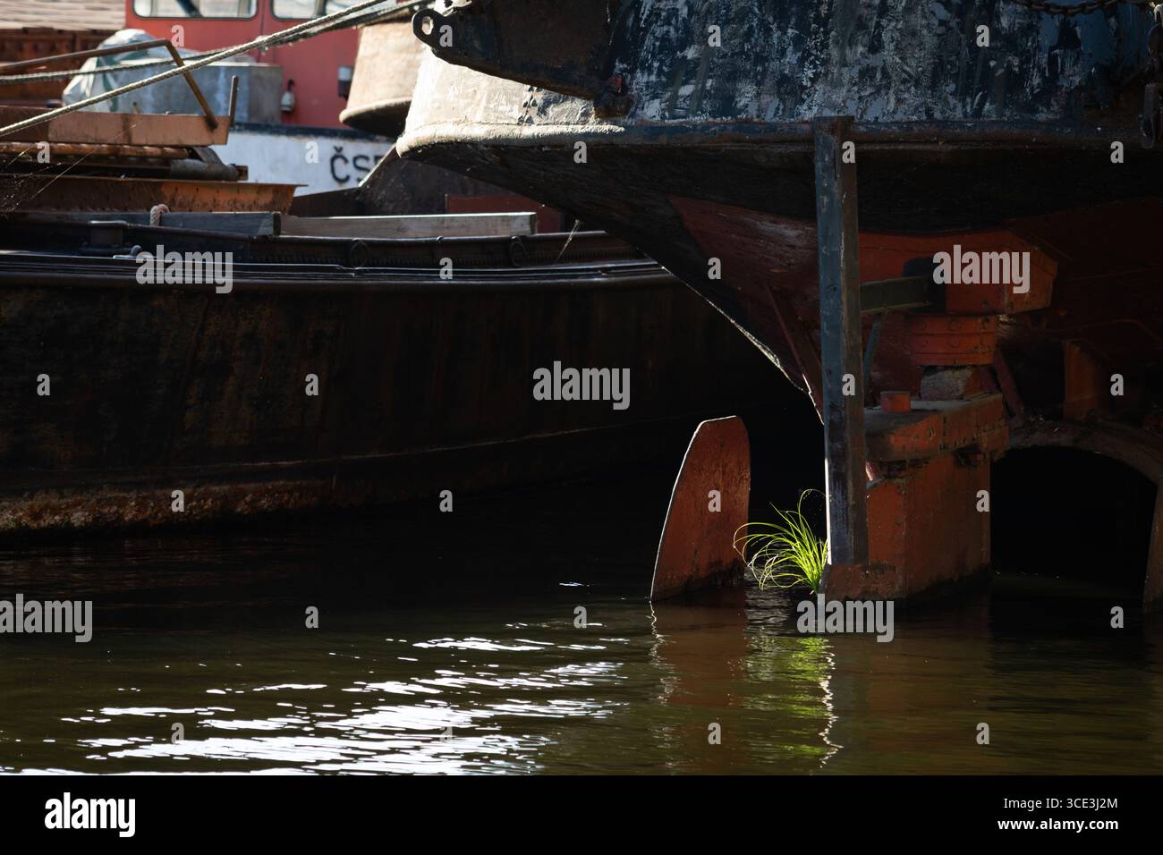 Nahansicht des Ruders des Bootes mit wachsendem Gras an der Wasseroberfläche unter einem alten angedockten Schiff. Stockfoto