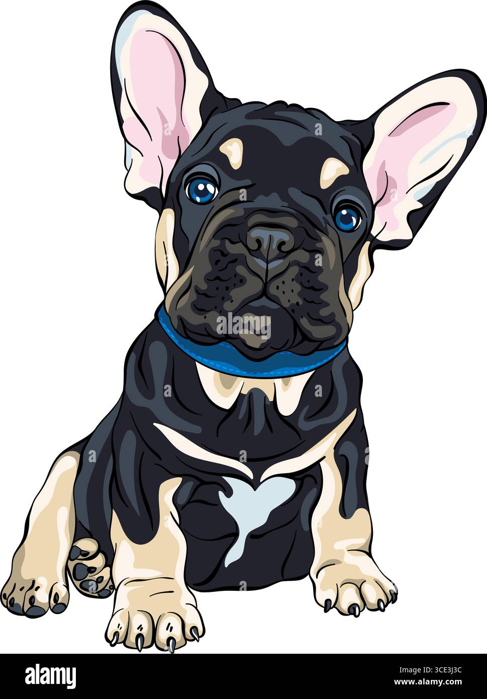 Vektorzeichnung eines schwarz-braunen französischen Bulldog-Welpen, der mit großen Ohren und blauem Kragen sitzt Stock Vektor