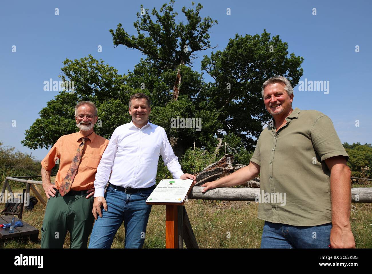 15. August 2025, Sachsen-Anhalt, drei Annen Hohne: Sachsen-Anhalt Forstminister Sven Schulze (SPD, l-r), Harzer Nationalparkdirektor Roland Pietsch und Andreas Roloff von der Deutschen Dendrologischen Gesellschaft enthüllen die Ehrentafel. Die Auszeichnung der Hohne-Eiche im Nationalpark Harz wurde heute im Beisein zahlreicher Gäste offiziell gefeiert. Die Hohne-Eiche hat einen Stammumfang von über fünf Metern und ist mit 500 Jahren einer der ältesten Bäume der Region. Die Deutsche Dendrologische Gesellschaft vergibt seit 2019 den Preis für die Erhaltung alter Bäume. Foto: Matt Stockfoto