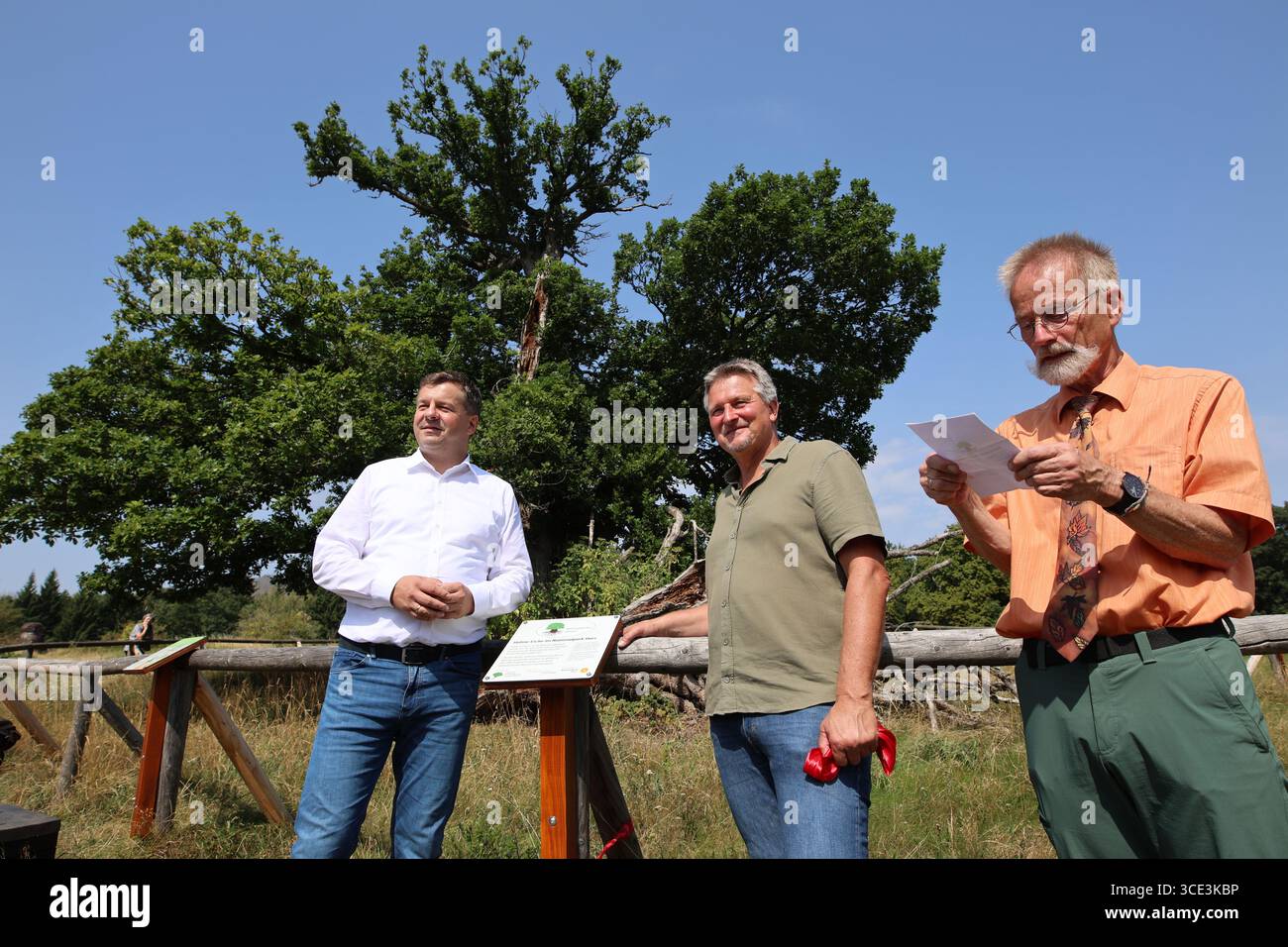 15. August 2025, Sachsen-Anhalt, drei Annen Hohne: Sachsen-Anhalt Forstminister Sven Schulze (SPD, l-r), Harzer Nationalparkdirektor Roland Pietsch und Andreas Roloff von der Deutschen Dendrologischen Gesellschaft enthüllen die Ehrentafel. Die Auszeichnung der Hohne-Eiche im Nationalpark Harz wurde heute im Beisein zahlreicher Gäste offiziell gefeiert. Die Hohne-Eiche hat einen Stammumfang von über fünf Metern und ist mit 500 Jahren einer der ältesten Bäume der Region. Die Deutsche Dendrologische Gesellschaft vergibt seit 2019 den Preis für die Erhaltung alter Bäume. Foto: Matt Stockfoto