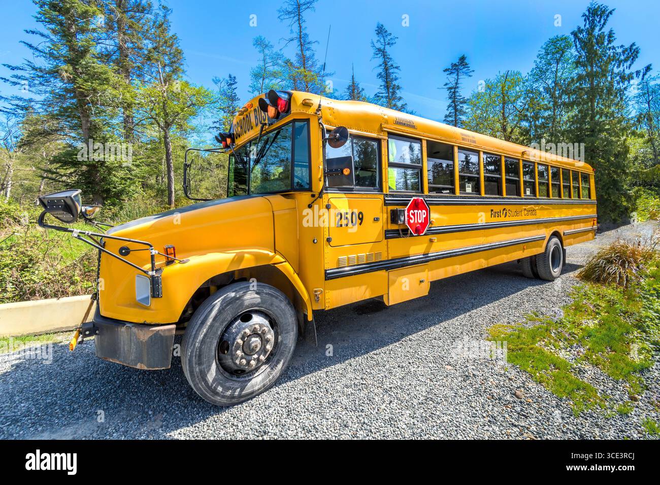 Traditioneller Schulbus Typ C / „konventioneller“ Schulbus - Hornby Island, British Columbia, Kanada. Stockfoto