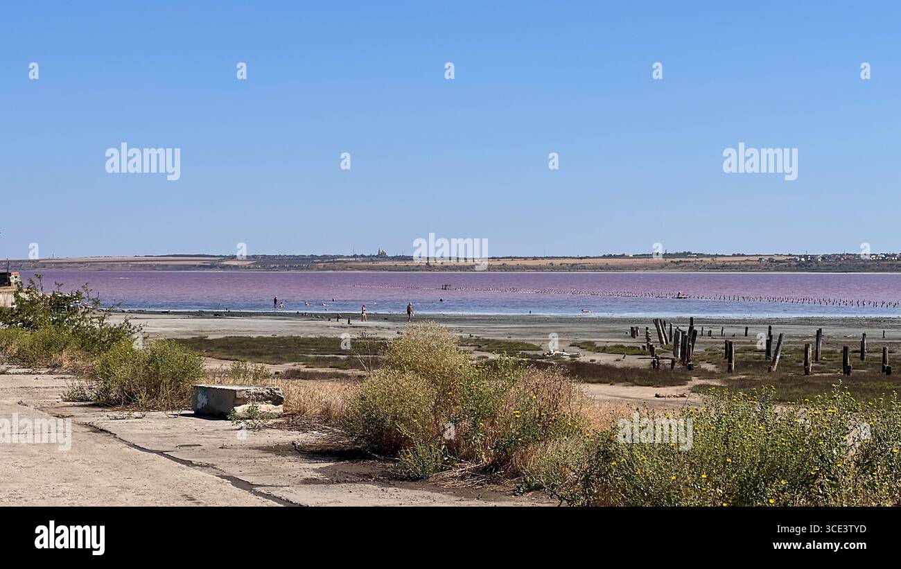 Rosenwasser, sonniger Tag, Salzsee, sonniger Sommertag, Salzbad, alte Holzpfähle, altes Holz Stockfoto