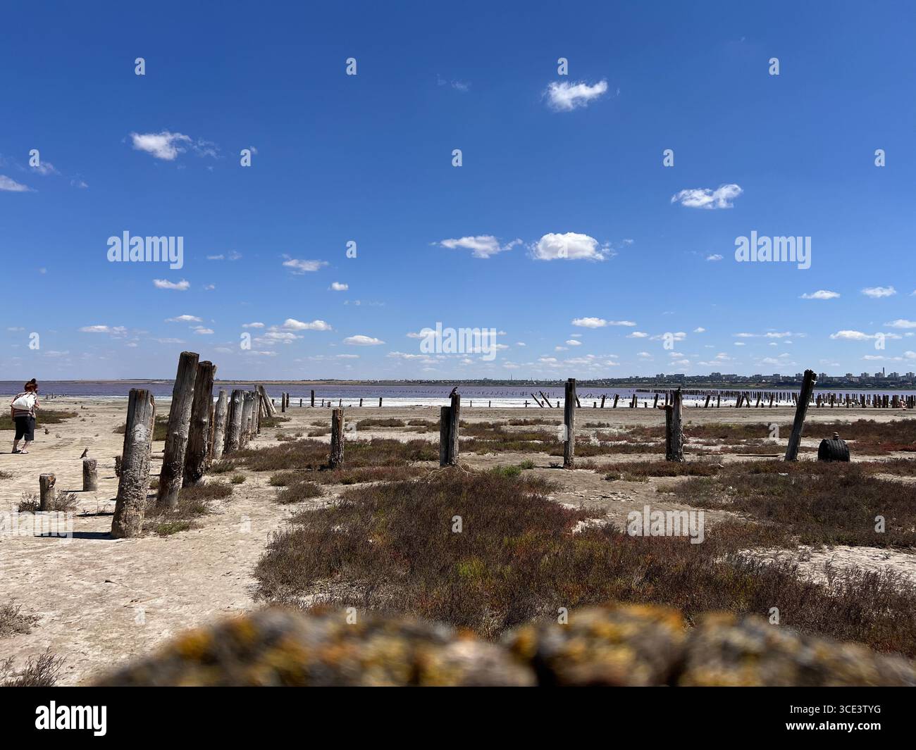 Sonniger Tag, Salzsee, sonniger Sommertag, Salzresort, alte Holzpfähle, altes Holz Stockfoto