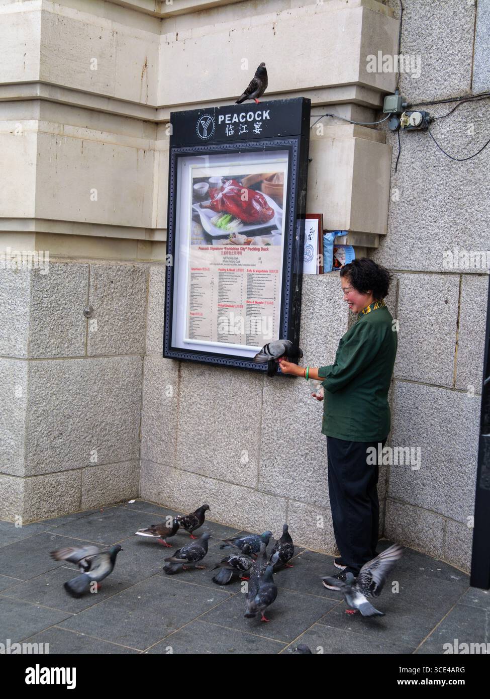 08/2025 — Central London, Vereinigtes Königreich — eine ostasiatische Frau füttert Tauben vor einem chinesischen Restaurant in Central London. In der Hauptstadt treffen sich urbane Tiere und Menschen in einer geschäftigen Straßenszene Stockfoto
