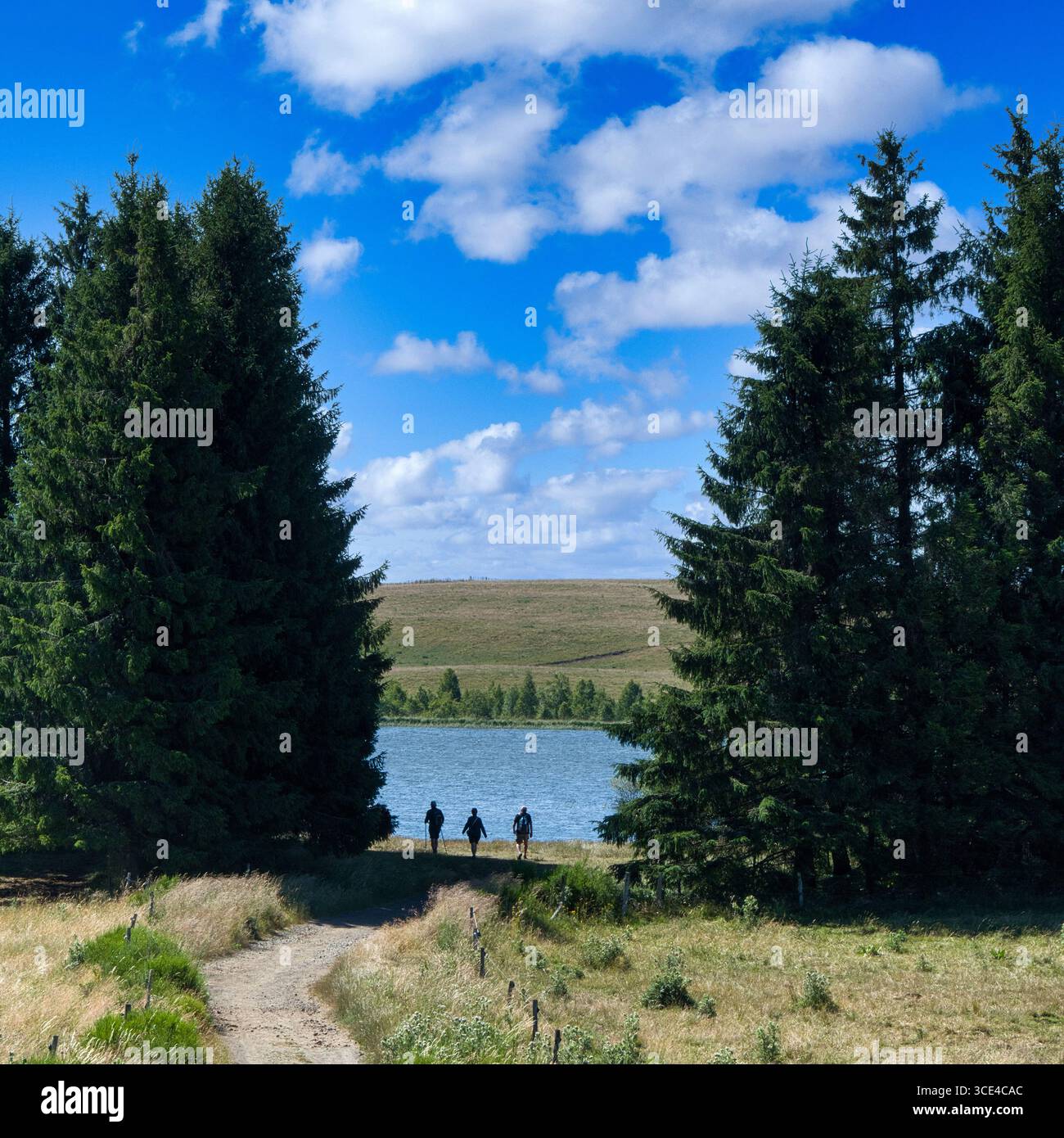 See von Bourdouze, regionaler Naturpark der Vulkane d'Auvergne, Puy de Dome, Auvergne-Rhone-Alpes. Frankreich Stockfoto