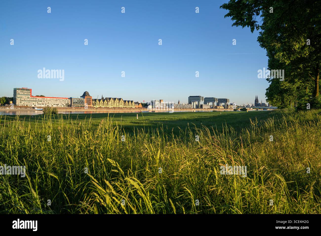 Köln, Deutschland - 12. Mai 2025: Panorama der Kölner Stadt am Rhein gegen Morgenlicht am 12. Mai 2025 in Deutschland, Europa Stockfoto