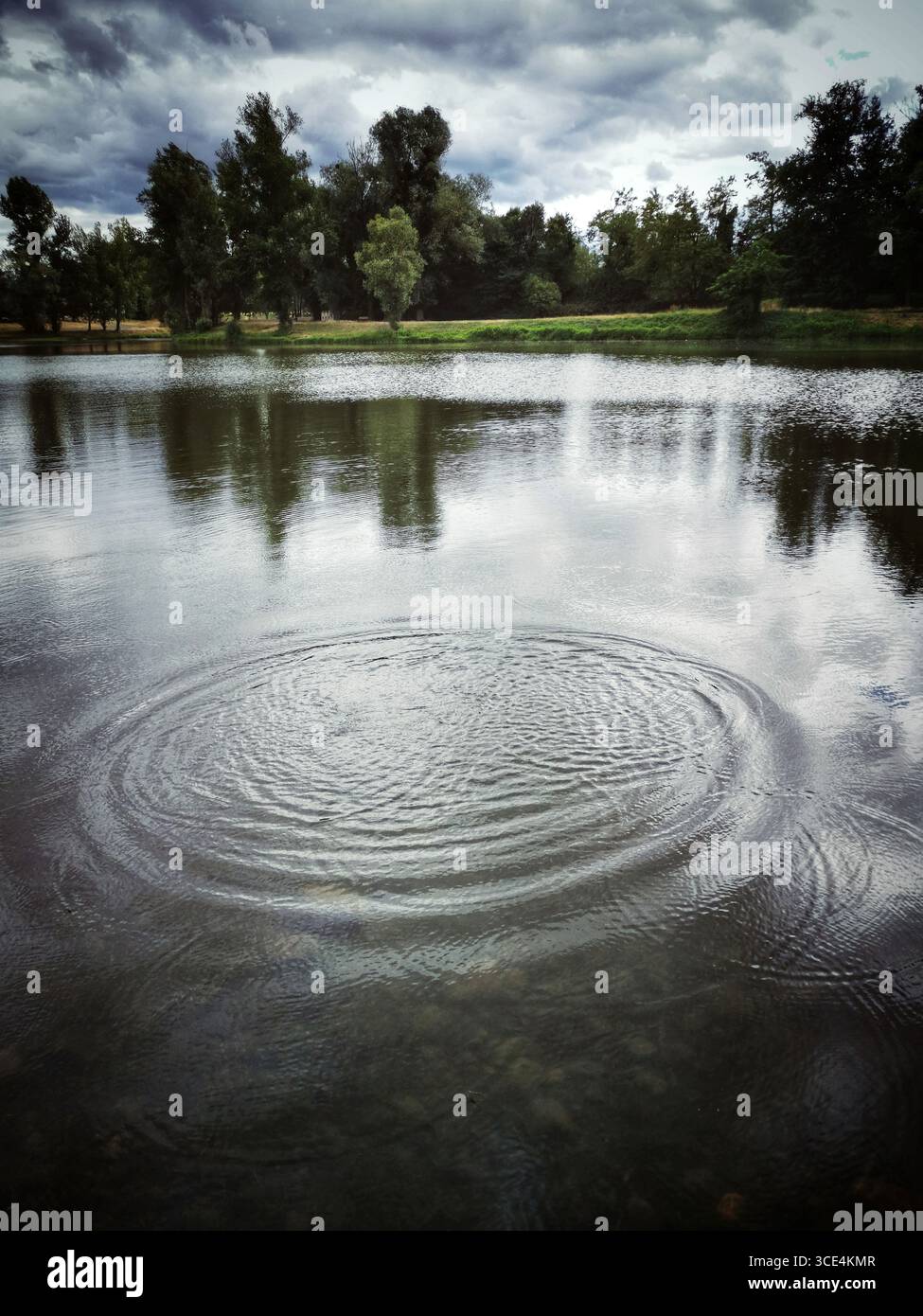Auf der ruhigen Wasseroberfläche in der Nähe von Bäumen bilden sich Wellen in ruhiger Umgebung bei bewölktem Wetter - Smartphone-aufgenommenes Stockfoto