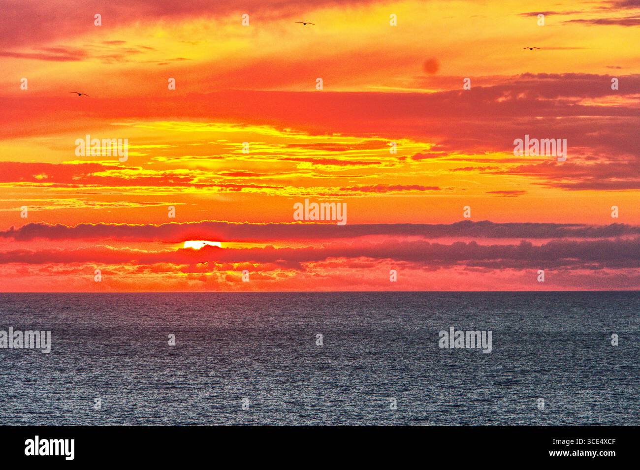 Feuriger Sonnenuntergang, Mawgan Porth, North Cornwall, England, Großbritannien Stockfoto