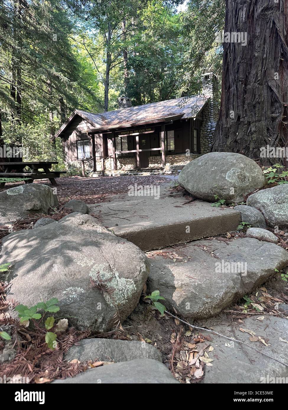 Rustikales Besucherzentrum aus Stein und Holz, umgeben von hoch aufragenden Mammutbäumen im Pfeiffer Big Sur State Park. Eine friedliche Outdoor-Szene - Smartphone-aufgenommenes Stockfoto