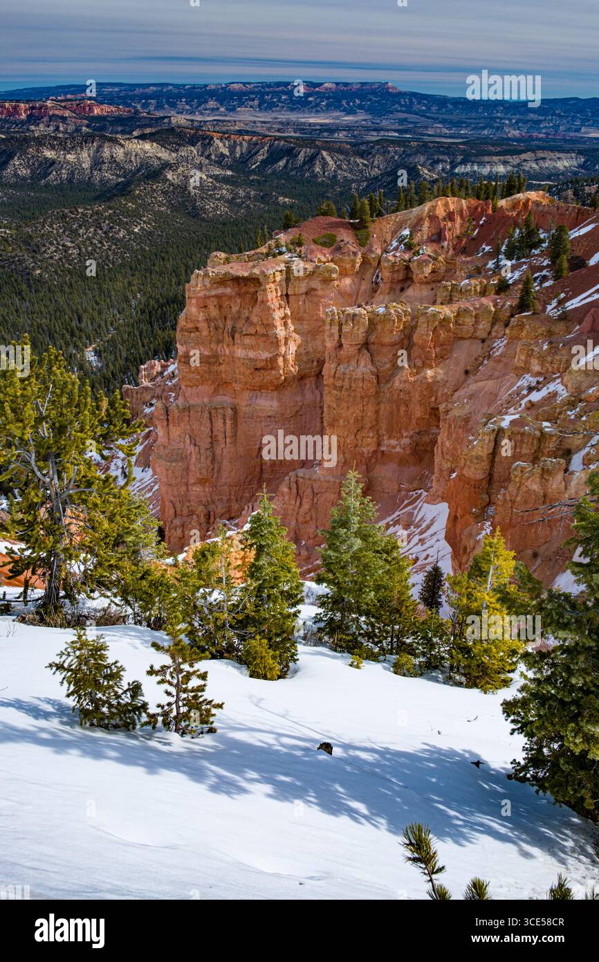 Hoodoo natürliche Felsformation und Amphitheater, Bryce Canyon Nationalpark, Kane County, Utah, USA Stockfoto