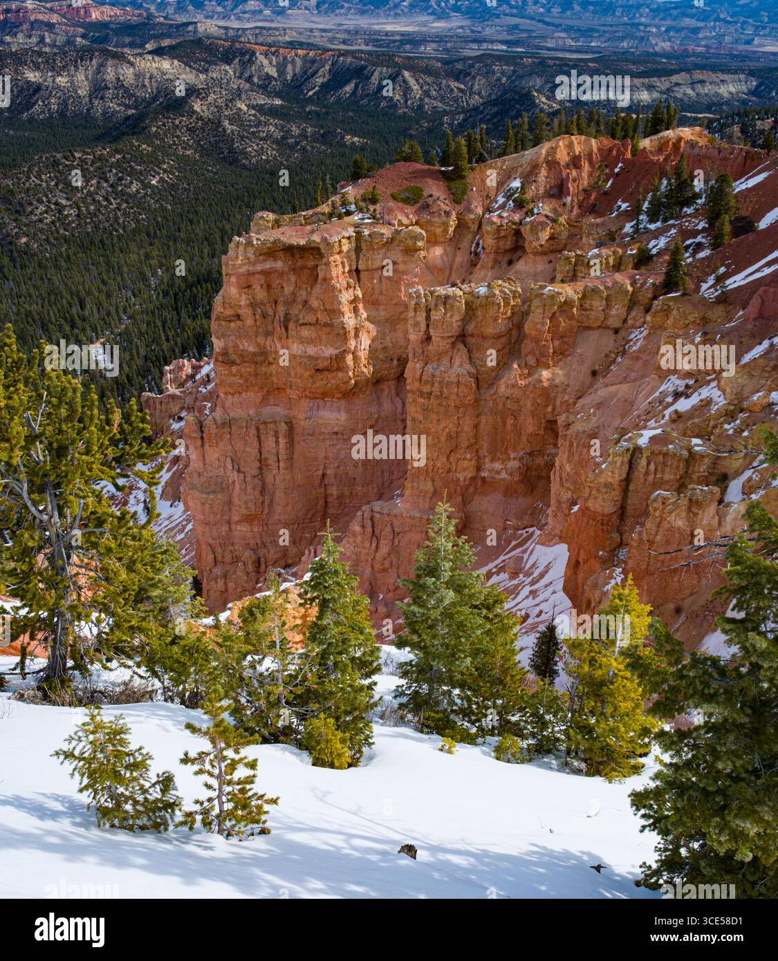 Hoodoo natürliche Felsformation und Amphitheater, Bryce Canyon Nationalpark, Kane County, Utah, USA Stockfoto