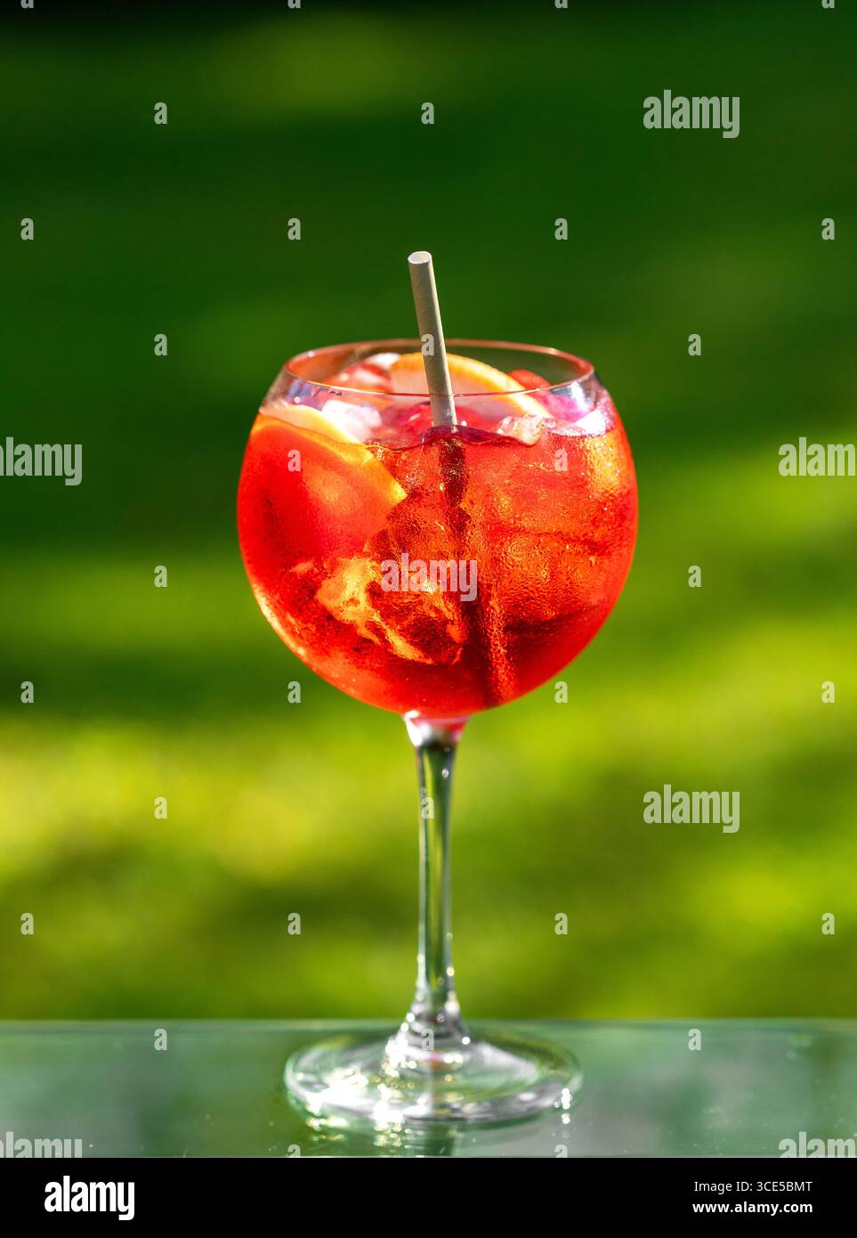 Glas klassischer roter Cocktail mit Eis und Grapefruitstücken auf grünem Gartenhintergrund Stockfoto