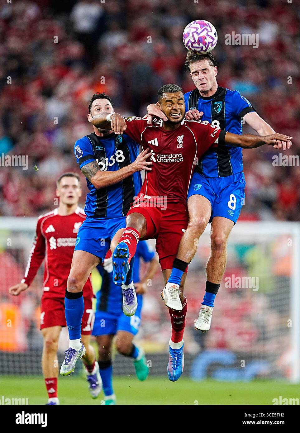 Liverpool Cody Gakpo (Mitte) kämpft um den Ball mit Bournemouth's Adam Smith (links) und Alex Scott während des Premier League-Spiels in Anfield (Liverpool). Bilddatum: Freitag, 15. August 2025. Stockfoto