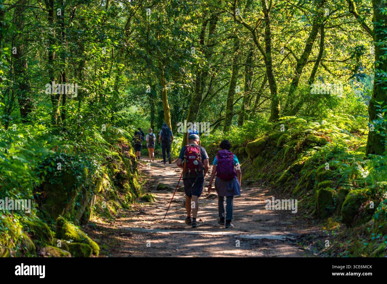 Pilger auf dem Jakobsweg in Pontevedra, Spanien Stockfoto