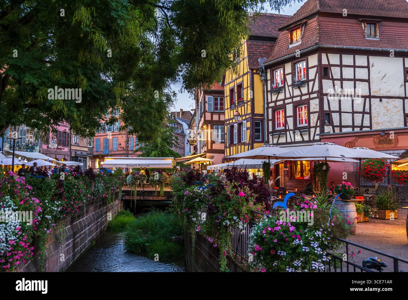 Altstadt von Colmar historische Architektur entlang des Kanals in der Region Grand Est im Nordosten Frankreichs. Stockfoto