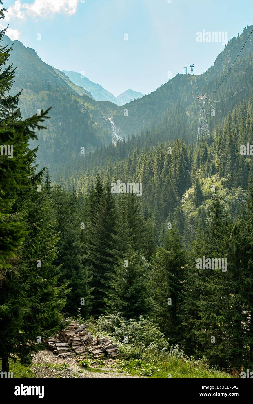 Seilbahn über üppigen Kiefernwald in transfagarasan, rumänien Stockfoto
