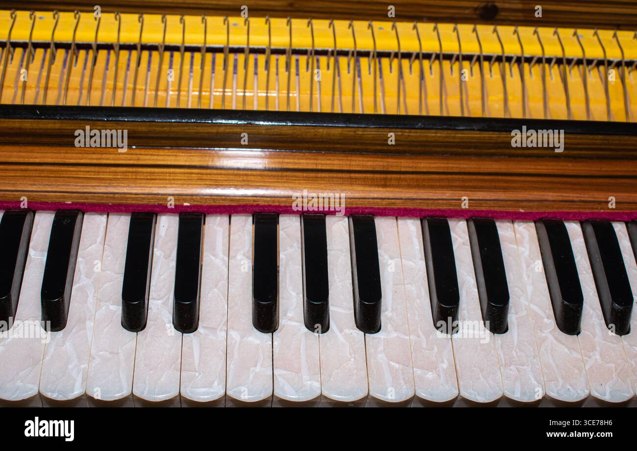 Typisches Tasteninstrument für indische Musik, das Harmonium ein Musikinstrument Stockfoto