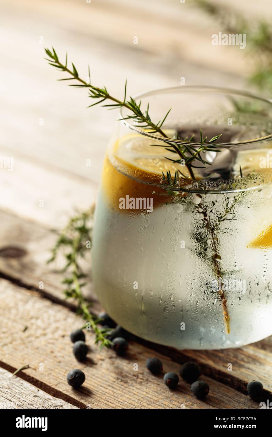 Alkoholgetränk (Gin Tonic Cocktail) mit Zitrone, Wacholderzweig und Eis auf rustikalem Holztisch, Kopierraum. Eiscocktail mit Zitrone und Wacholder Stockfoto