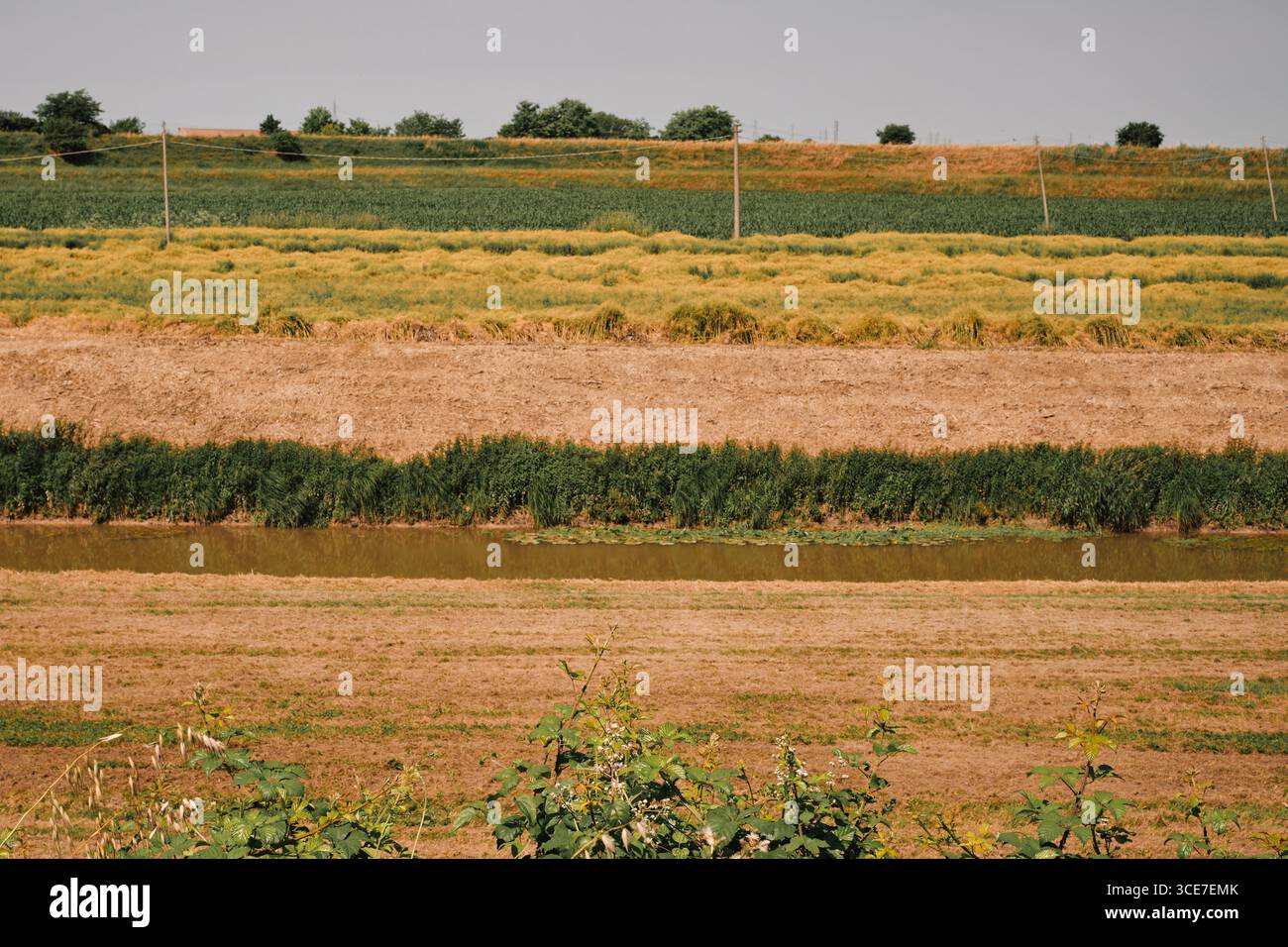 Mehrschichtige landwirtschaftliche Felder mit einem kleinen Fluss Stockfoto
