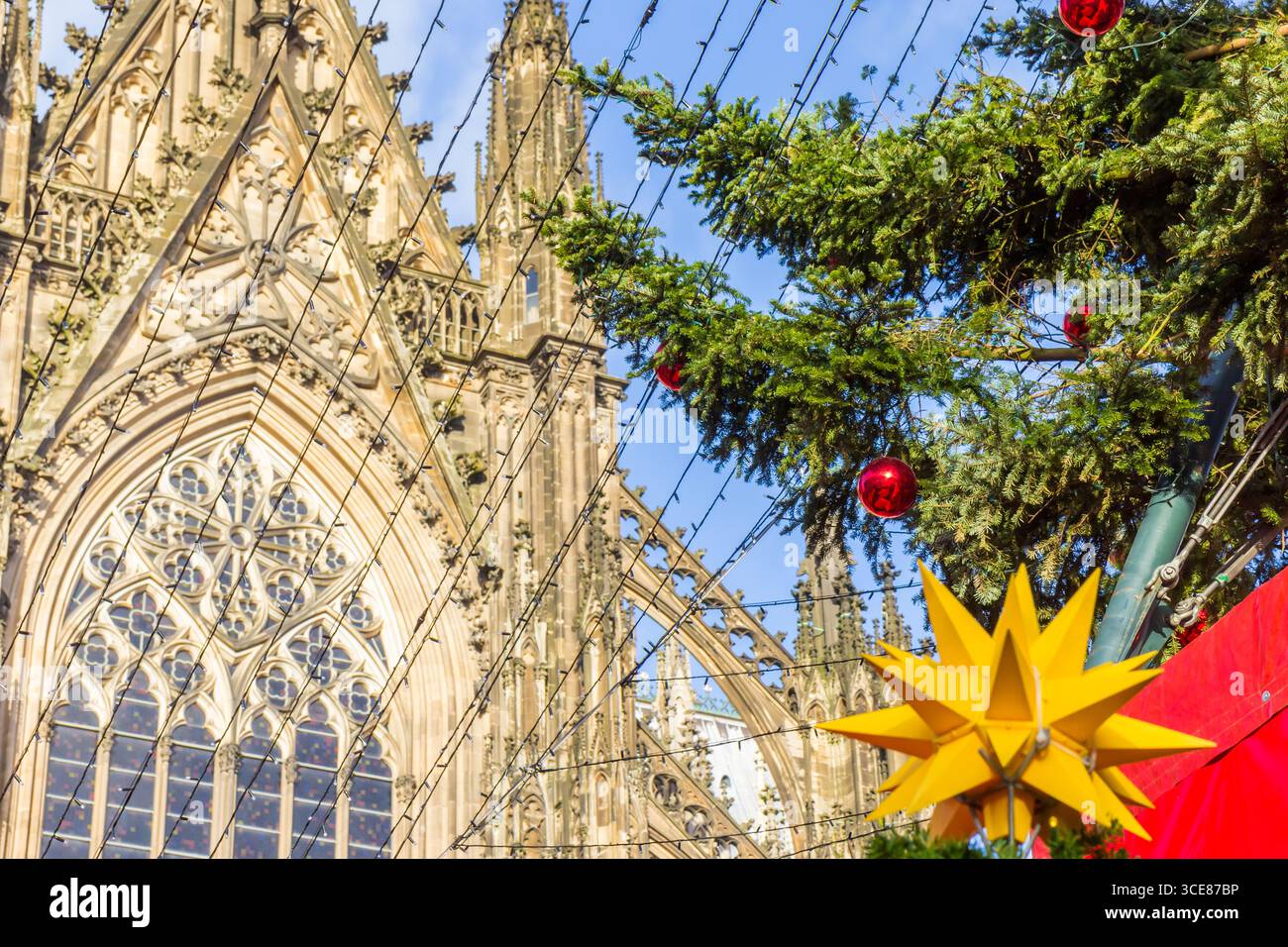 Weihnachtsbaum vor dem historischen Kölner Dom Stockfoto