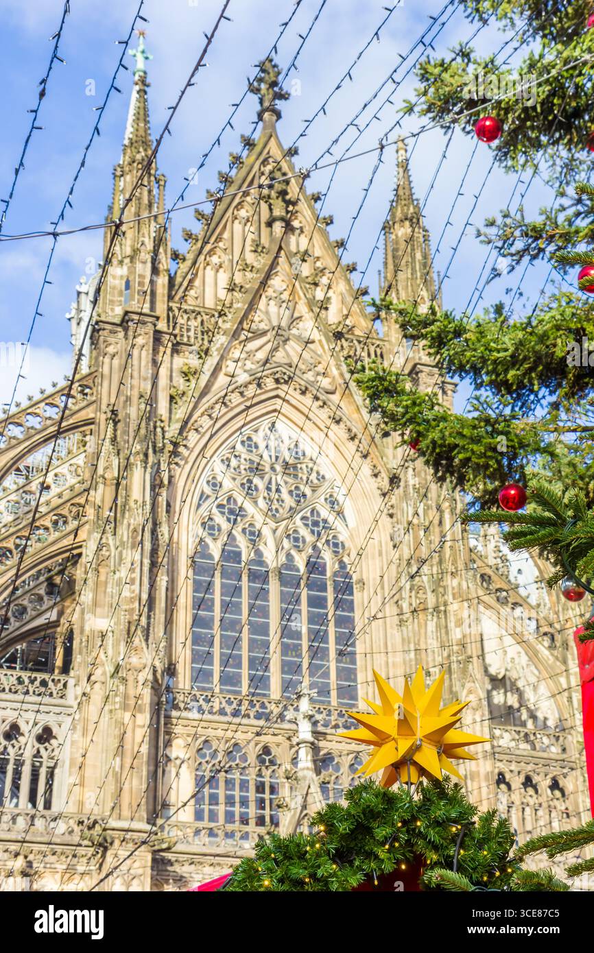 Weihnachtsstern vor dem Dom in Köln Stockfoto