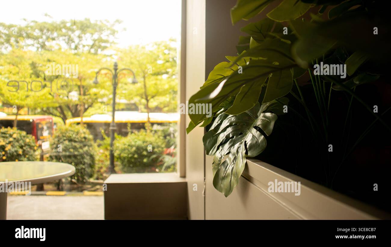Blick auf das Fenster des Cafés mit bepflanzter Wand Stockfoto