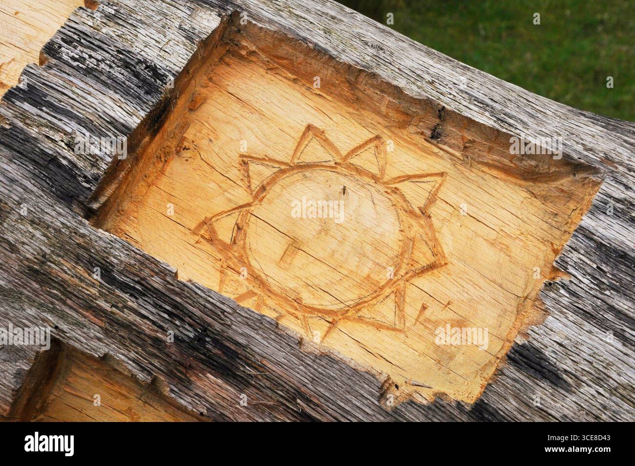 Darstellung der Sonne, die in einen Hohlraum im Stamm einer gefallenen Eiche gehauen wurde, eines der Muster, die für das Thema Baum des Lebens relevant sind. Später Stockfoto