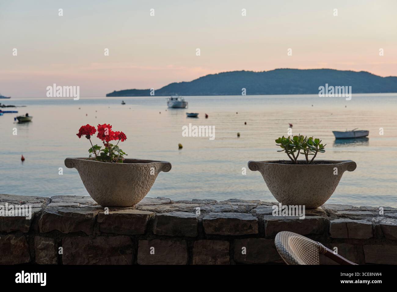 2 schälenförmige Pflanztöpfe auf einer Steinmauer mit Blick auf die Adria, Bečići, Budva, Montenegro, mit roten und grünen Pflanzen und vertäuten Booten Stockfoto