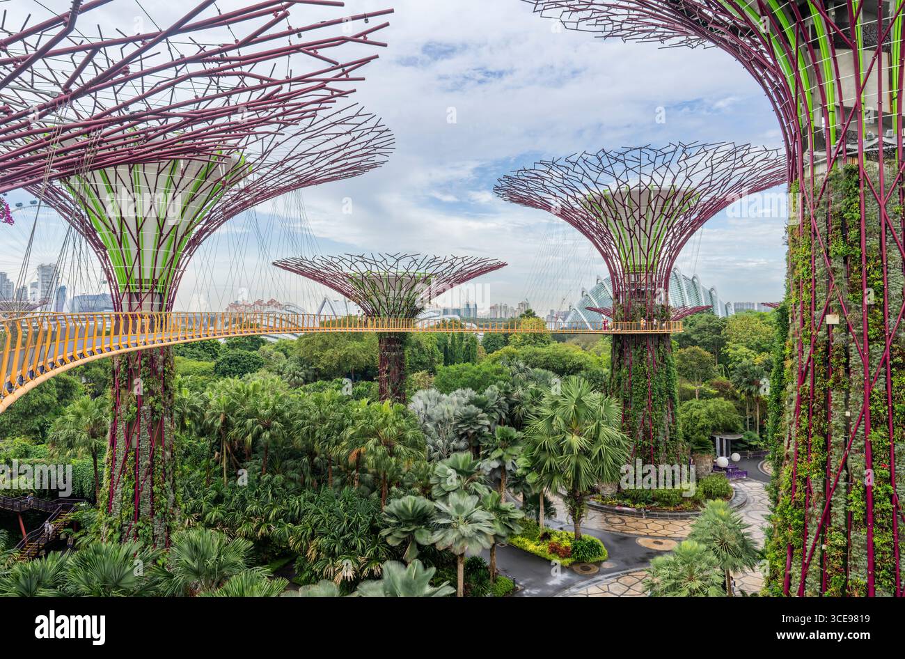 Garten an der Bucht in Singapur Stockfoto