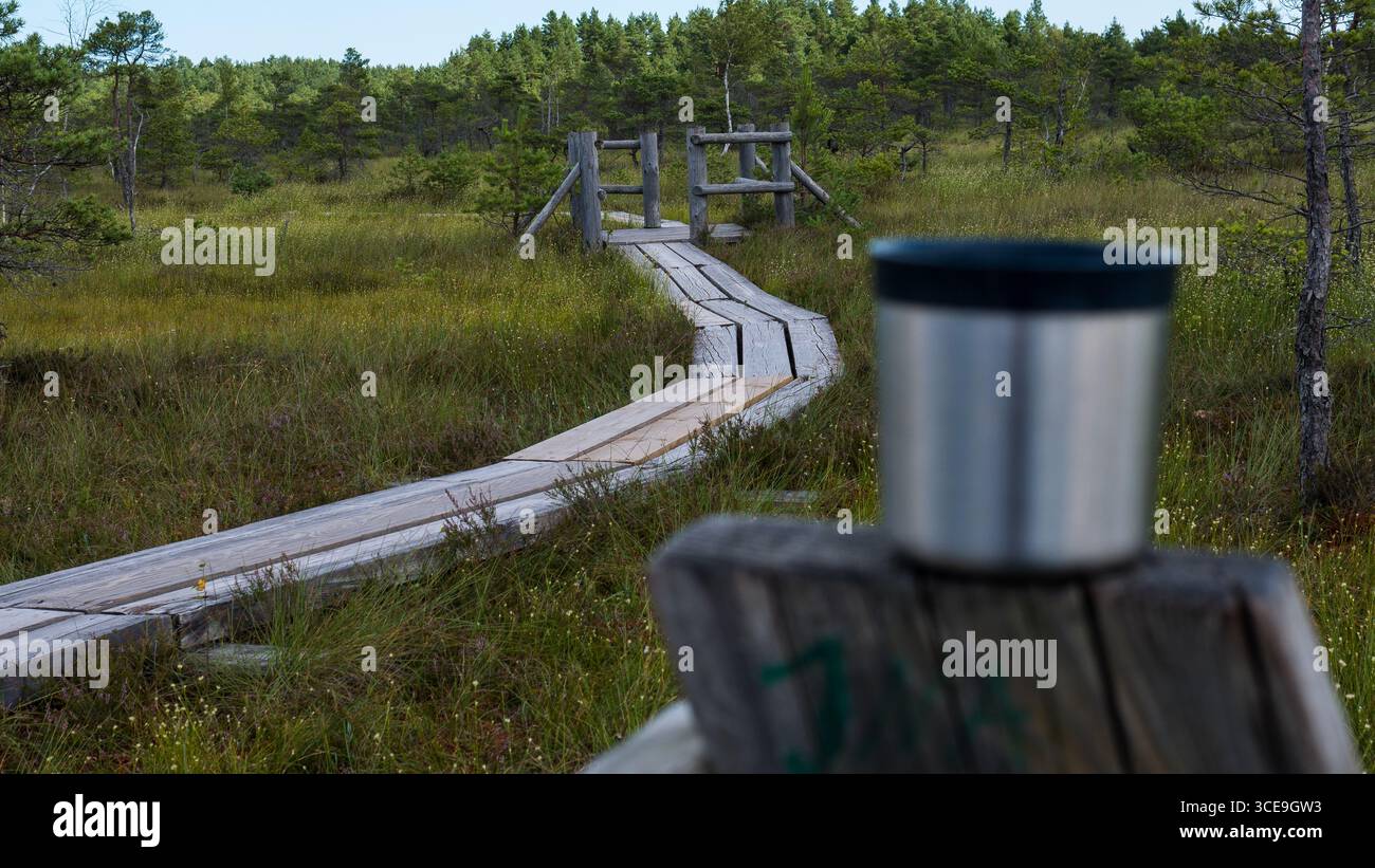 Holzweg durch das Moor mit Reisebecher im Vordergrund Stockfoto