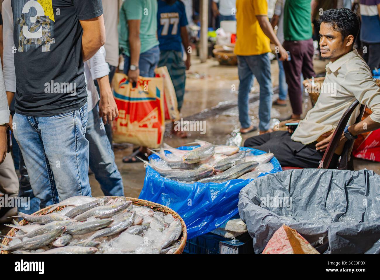 Hilsha (Ilisch) ist ein sehr beliebtes und begehrtes Essen in der Region Bengalen und ist der nationale Fisch von Bangladesch. Stockfoto